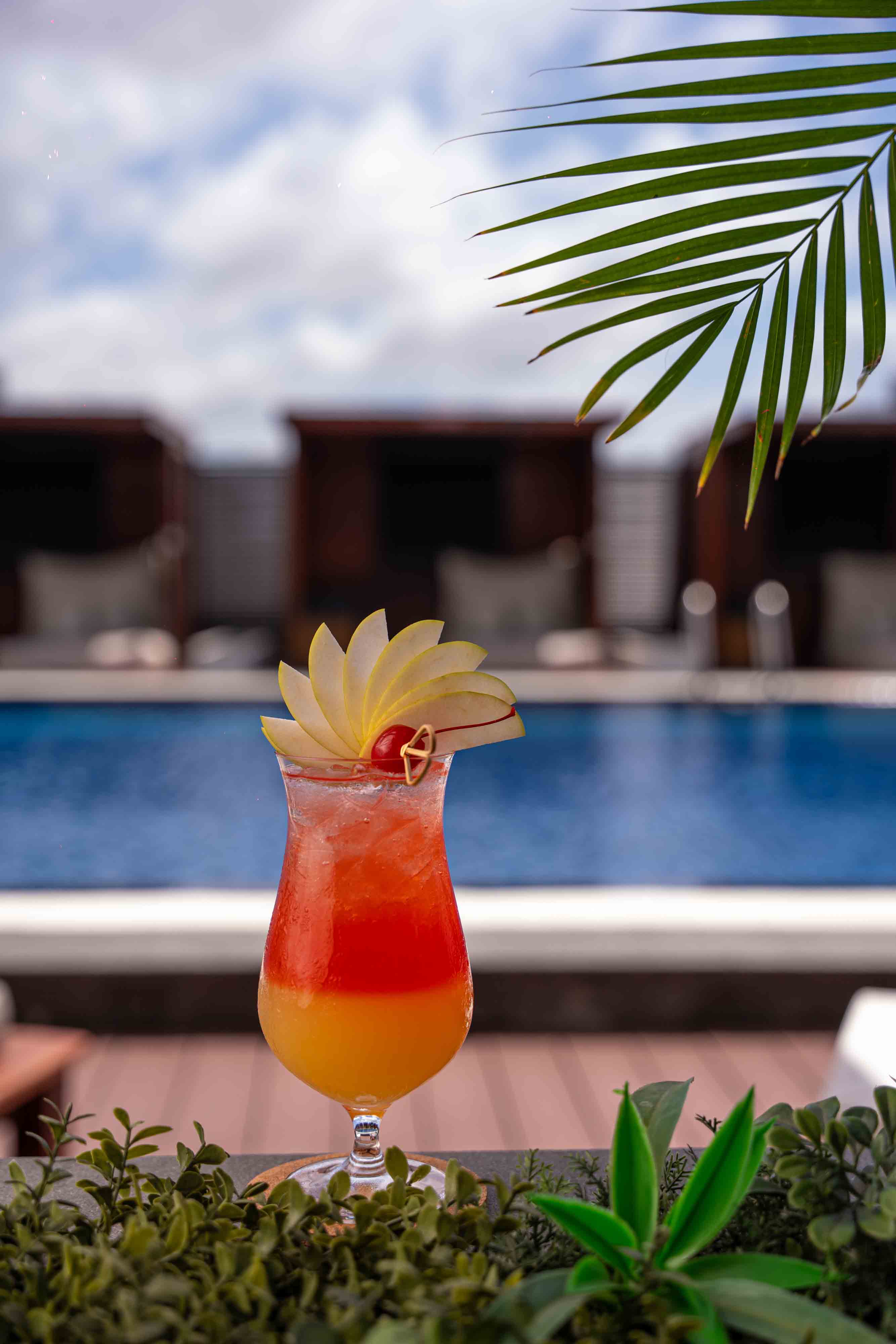 An expertly crafted, vibrant red cocktail garnished with fresh herbs in elegant glassware.