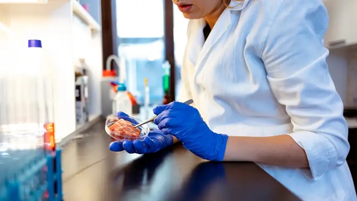 Italië verbiedt verkoop van vlees uit lab