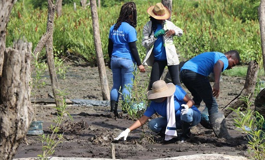 Kustwacht ondersteunt mangroveproject