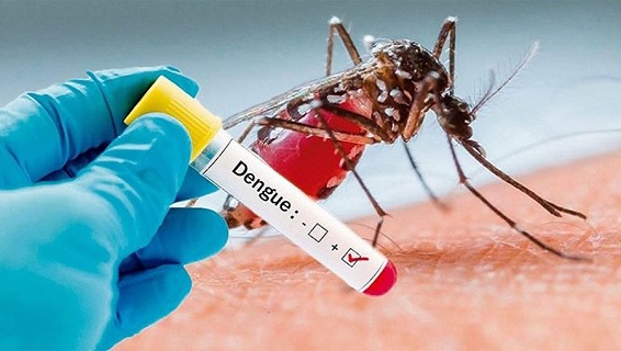 Volksgezondheid waarschuwt voor toename dengue-besmettingen