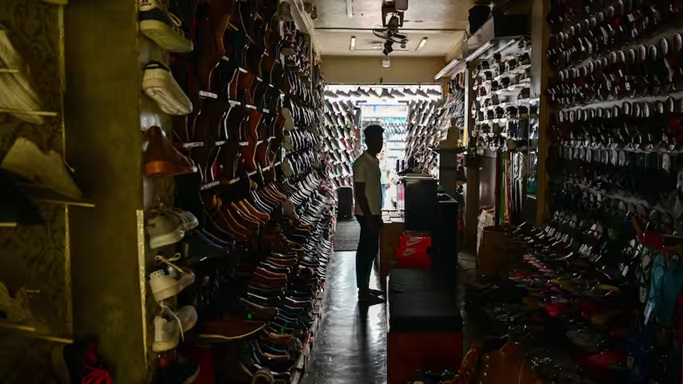 Aap zorgt voor landelijke stroomstoring in Sri Lanka