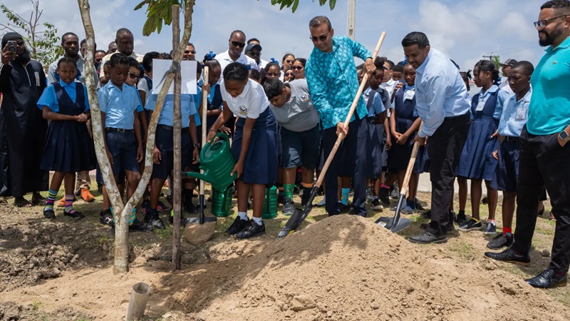 Guyana start met planten 50.000 bomen