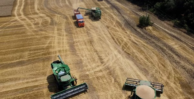 Graanoogst Oekraïne is tot nu toe de helft van vorig jaar