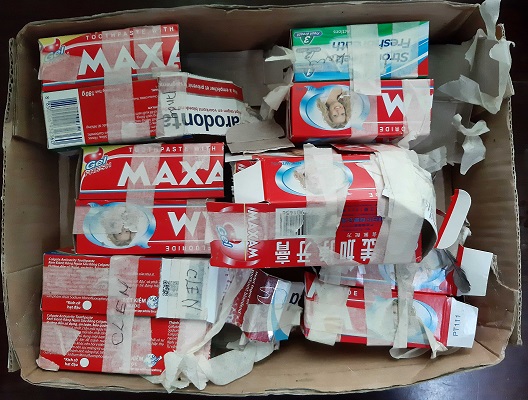 32 zangvogels voor smokkel onderschept op luchthaven Zanderij