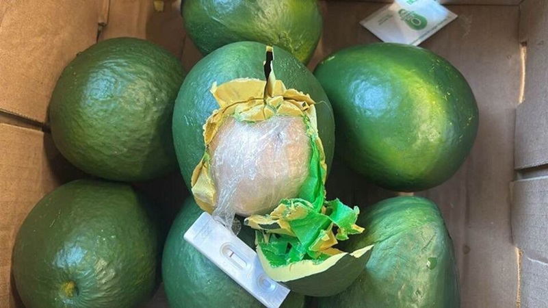 Ruim 600 kilo cocaïne gevonden tussen avocado's