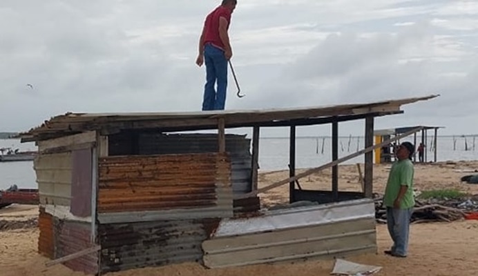 Green Heritage Fund zet zeeschildpaddenonderzoek on hold