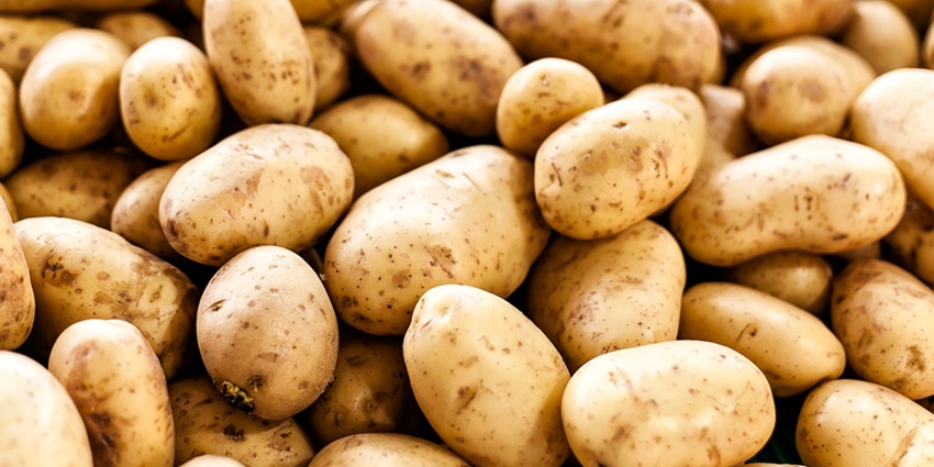  Internationale Aardappeldag: Nederland grote producent