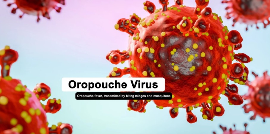 Waarschuwing voor stijging Oropouche-gevallen in regio