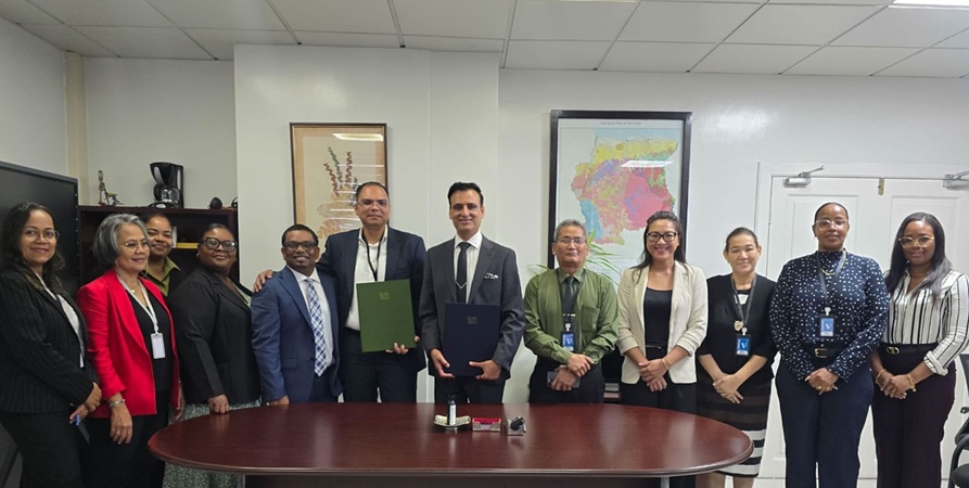Surinamers in buitenland kunnen paspoort aanvragen via VFS Global